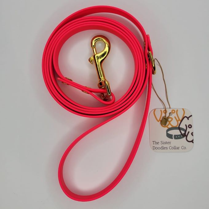 Standard 6' BioThane Leash