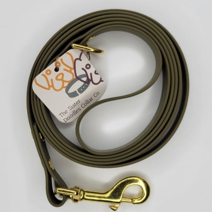 Standard 6' BioThane Leash