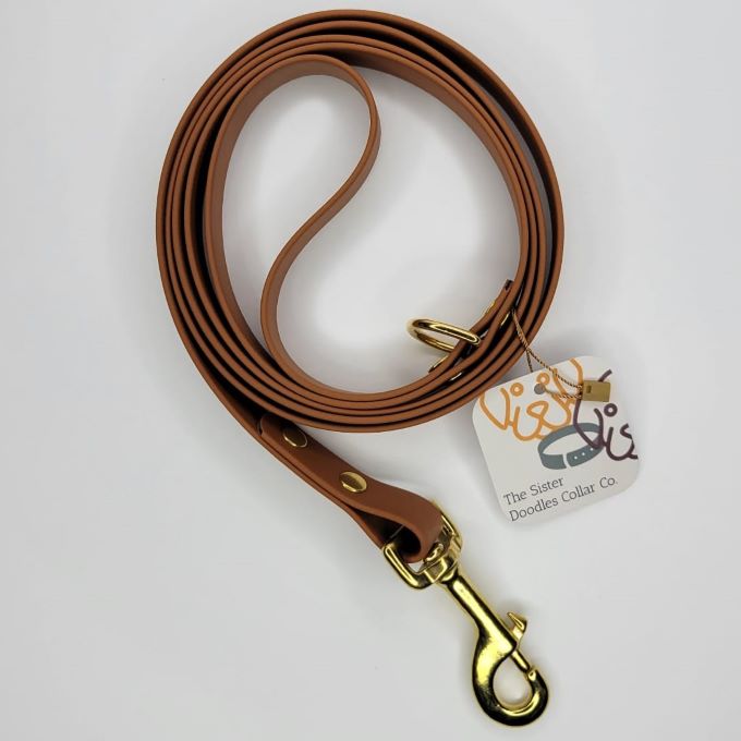 Standard 6' BioThane Leash