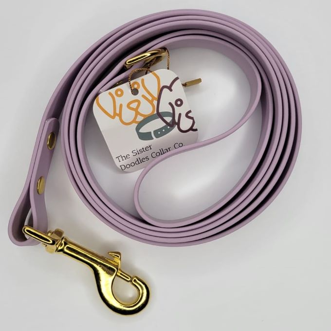 Standard 6' BioThane Leash