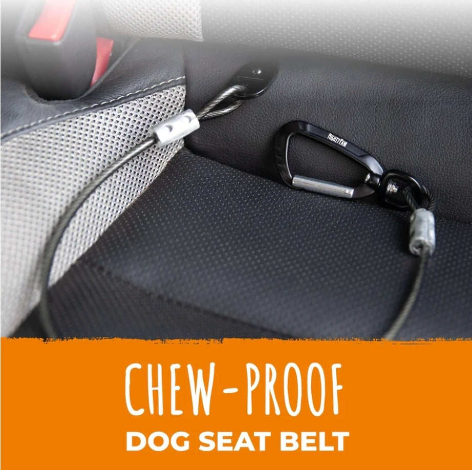 32" Chew Proof Safety Belt Black