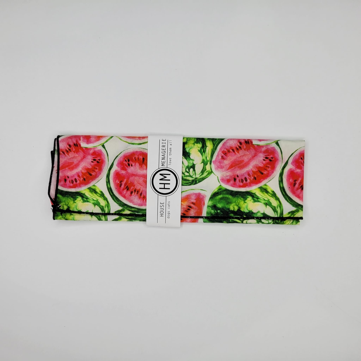 HM Watermelon Bandana - No Print